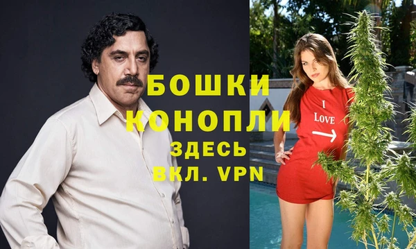 стаф Баксан