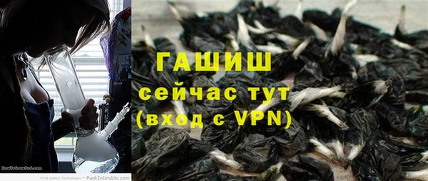стаф Баксан